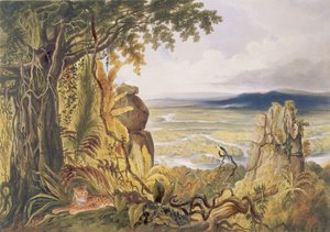 Comuti eller Taquiare Rock, ved elven Essequibo, fra 'Views in the Interior of Guyana', gravert av puben George Barnard (fl.1832-90). av Ackermann, 1840