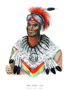 Wapella