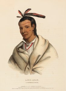  av Charles Bird King