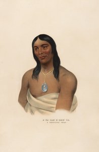  av Charles Bird King