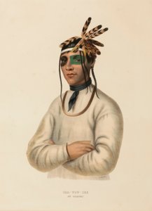  av Charles Bird King
