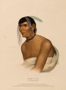  av Charles Bird King