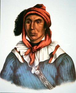 Julcee Mathla av Charles Bird King