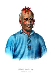 Kishkalwa, en Shawnee-sjef av Charles Bird King