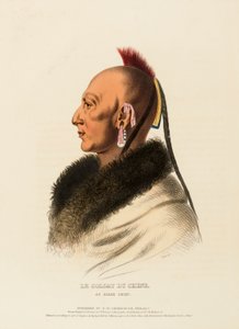  av Charles Bird King