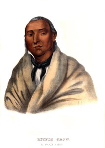 Lille kråke, en sioux-høvding