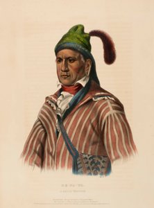  av Charles Bird King