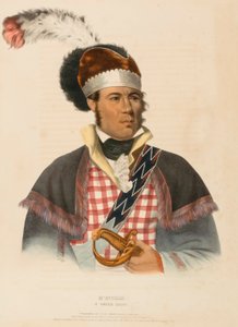  av Charles Bird King