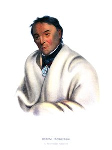Metakoosega ('Pure Tobacco'), en Chippeway-kriger av Charles Bird King