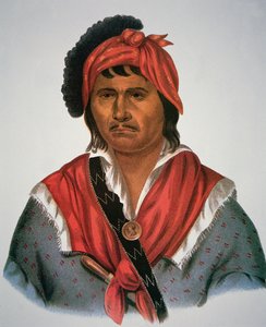 Neamathla-sjef