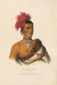  av Charles Bird King