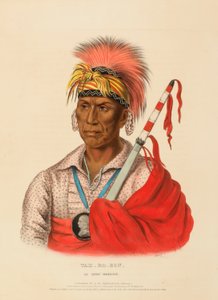  av Charles Bird King