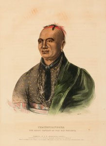  av Charles Bird King