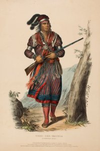  av Charles Bird King