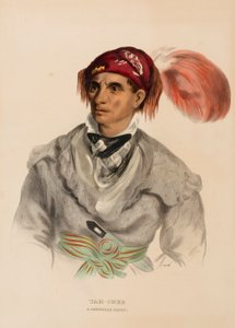  av Charles Bird King