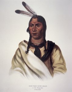 "Det søvnige øyet" av Charles Bird King