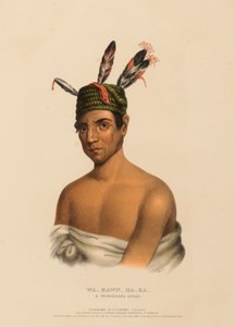  av Charles Bird King