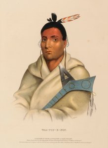  av Charles Bird King