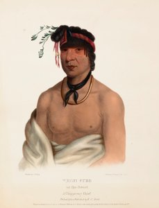 av Charles Bird King