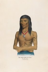  av Charles Bird King