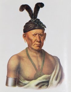 Wakechai eller 