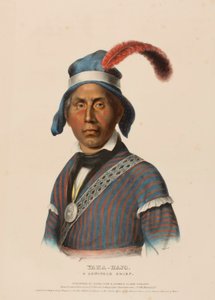  av Charles Bird King
