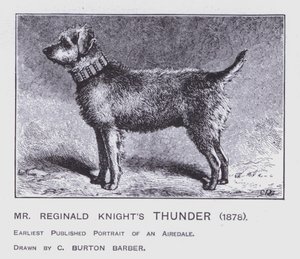 Mr Reginald Knight's Thunder av Charles Burton (after) Barber