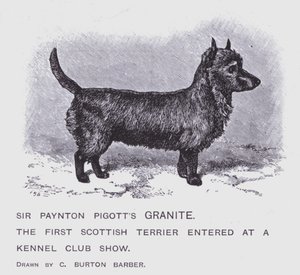 Sir Paynton Pigotts granitt (litho) av Charles Burton (after) Barber