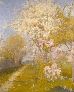 Epleblomst i Dennemont, 1893