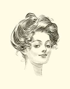 Illustrasjon for The Social Ladder av Charles Dana Gibson