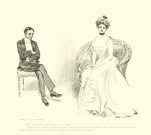Illustrasjon for The Social Ladder av Charles Dana Gibson