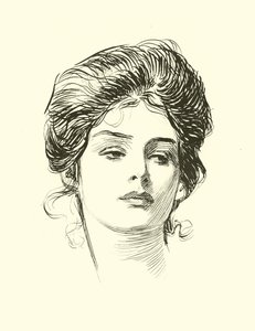 Illustrasjon for The Social Ladder av Charles Dana Gibson