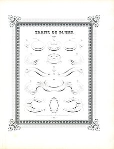 Storformat kalligrafisk penn blomstrer (trykk) av Charles Derriey