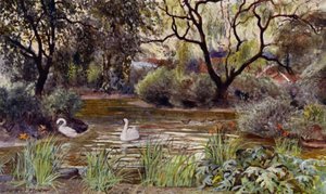 London Zoo: Three Island Pond (farge litho)
