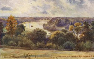  av Charles Edwin Flower