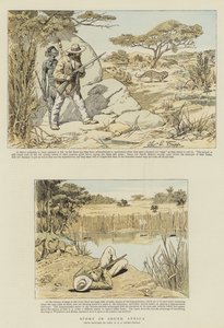 Sport i Sør-Afrika (chromolitho)