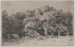 Et hjørne av Fontainebleau-skogen (radering) av Charles Emile Jacque