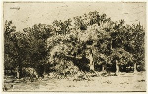En del av Fontainebleau-skogen av Charles Emile Jacque