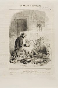 Et dyresykehus (plate 20) av Charles Emile Jacque