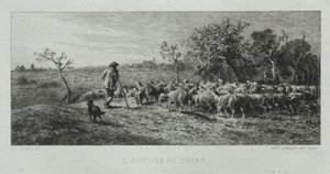 Ankommer feltet av Charles Emile Jacque