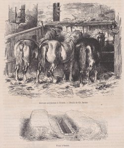 Percheron-hester i stallen, Gjødselgrav, fra Magasin Pittoresque, ca. 1852., ca. 1852. av Charles Emile Jacque