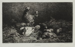 Kyllinger av Charles Emile Jacque