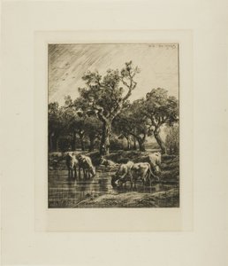 Kyr på et vanningssted av Charles Emile Jacque