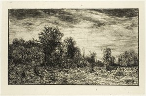 Edge of a Wood, under skyet himmel av Charles Emile Jacque