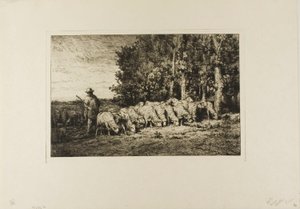 Saueflokk på kanten av en skog av Charles Emile Jacque