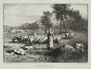 Svineflokk, 1868. av Charles Emile Jacque