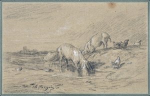 Griseflokk Tegning av Charles Jacque (1813-1894) av Charles Emile Jacque