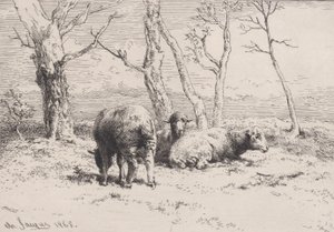 Sau, 1868.