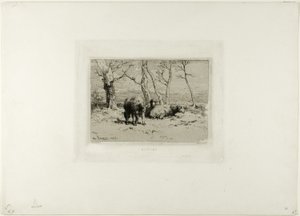 Sau av Charles Emile Jacque