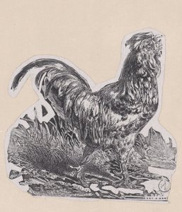 Hanen, ca. 1853. av Charles Emile Jacque